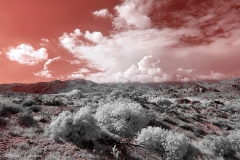 Anza-Borrego Desert, San Diego, California