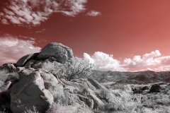 Anza-Borrego Desert, San Diego, California