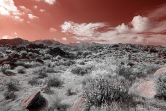 Anza-Borrego Desert, San Diego, California