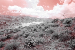 Anza-Borrego Desert, San Diego, California