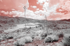 Anza-Borrego Desert, San Diego, California