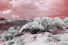 Anza-Borrego Desert, San Diego, California