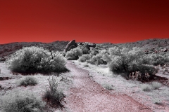 Anza-Borrego Desert, San Diego, California