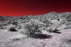 Anza-Borrego Desert, San Diego, California