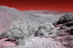 Anza-Borrego Desert, San Diego, California