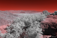 Anza-Borrego Desert, San Diego, California