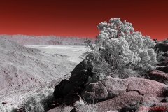 Anza-Borrego Desert, San Diego, California