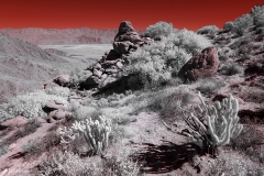 Anza-Borrego Desert, San Diego, California