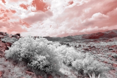 Anza-Borrego Desert, San Diego, California