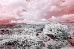 Anza-Borrego Desert, San Diego, California