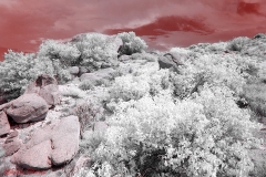 Anza-Borrego Desert, San Diego, California