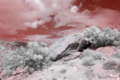 Anza-Borrego Desert, San Diego, California