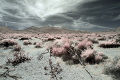 INFRARED_ANZA_BORREGO_MAY04_2019_695-105_FINAL_10