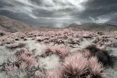 INFRARED_ANZA_BORREGO_MAY04_2019_695-131_FINAL_10