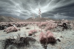 INFRARED_ANZA_BORREGO_MAY04_2019_695-90_FINAL_10