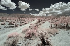 INFRARED_ANZA_BORREGO_MAY12_2019_695-61_FINAL_10