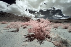 INFRARED_ANZA_BORREGO_MAY19_2019_695-116_FINAL_10