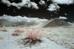 INFRARED_ANZA_BORREGO_MAY19_2019_695-30_FINAL_10