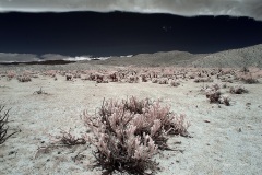 INFRARED_ANZA_BORREGO_MAY26_2019_695-38_FINAL_10