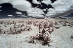 INFRARED_ANZA_BORREGO_MAY26_2019_695-62_FINAL_10