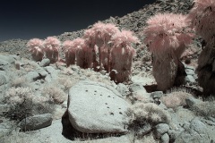 INFRARED_ANZA_BORREGO_MAY27_2019_695-174_FINAL_10