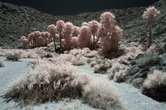 INFRARED_ANZA_BORREGO_MAY27_2019_695-248_FINAL_10