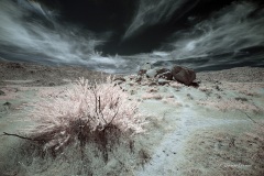 INFRARED_ANZA_BORREGO_AUG03_2019_720-2_FINAL_10