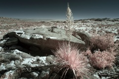 INFRARED_ANZA_BORREGO_JAB_02_2019-10_FINAL_01