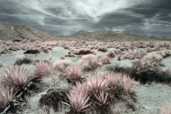 INFRARED_ANZA_BORREGO_MAY04_2019_695-107_FINAL_10