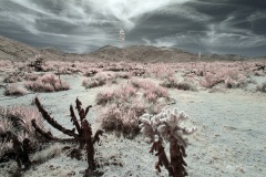 INFRARED_ANZA_BORREGO_MAY04_2019_695-115_FINAL_10