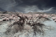 INFRARED_ANZA_BORREGO_MAY04_2019_695-60_FINAL_10