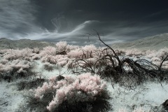 INFRARED_ANZA_BORREGO_MAY04_2019_695-78_FINAL_10