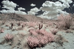 INFRARED_ANZA_BORREGO_MAY12_2019_695-108_FINAL_10