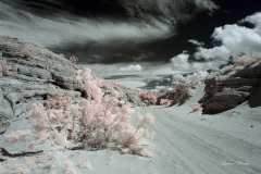 INFRARED_ANZA_BORREGO_MAY19_2019_695-145_FINAL_10