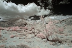 INFRARED_ANZA_BORREGO_MAY19_2019_695-44_FINAL_10