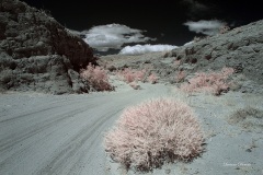 INFRARED_ANZA_BORREGO_MAY19_2019_695-72_FINAL_10