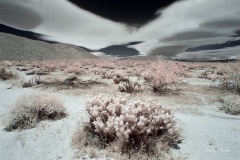 INFRARED_ANZA_BORREGO_MAY26_2019_695-30_FINAL_10