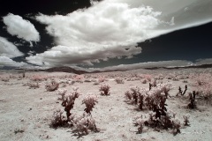 INFRARED_ANZA_BORREGO_MAY26_2019_695-40_FINAL_10