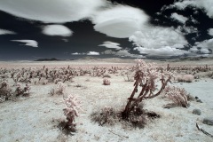 INFRARED_ANZA_BORREGO_MAY26_2019_695-56_FINAL_10