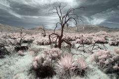 INFRARED_ANZA_BORREGO_MAY04_2019_695-147_FINAL_10