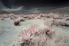 INFRARED_ANZA_BORREGO_MAY04_2019_695-63_FINAL_10