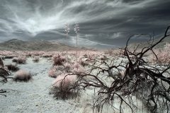 INFRARED_ANZA_BORREGO_MAY04_2019_695-88_FINAL_10