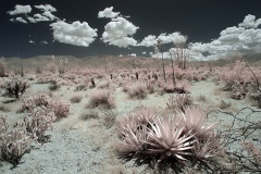 INFRARED_ANZA_BORREGO_MAY12_2019_695-34_FINAL_10