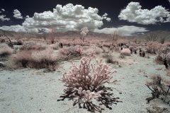 INFRARED_ANZA_BORREGO_MAY12_2019_695-54_FINAL_10