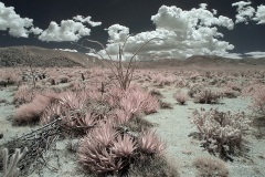 INFRARED_ANZA_BORREGO_MAY12_2019_695-71_FINAL_10