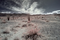 INFRARED_ANZA_BORREGO_MAY19_2019_695-172_FINAL_10