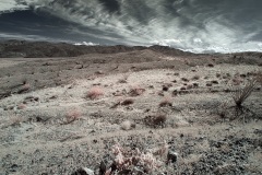 INFRARED_ANZA_BORREGO_MAY19_2019_695-175_FINAL_10