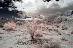 INFRARED_ANZA_BORREGO_MAY19_2019_695-45_FINAL_10