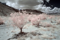 INFRARED_ANZA_BORREGO_MAY19_2019_695-93_FINAL_10