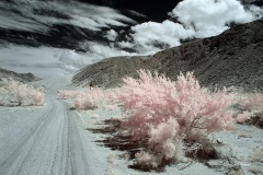 INFRARED_ANZA_BORREGO_MAY19_2019_695-97_FINAL_10